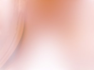 Elasticsearch项目管理的核心要点